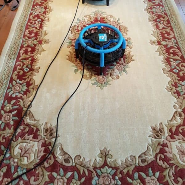 Carpet Cleaning Cambridge