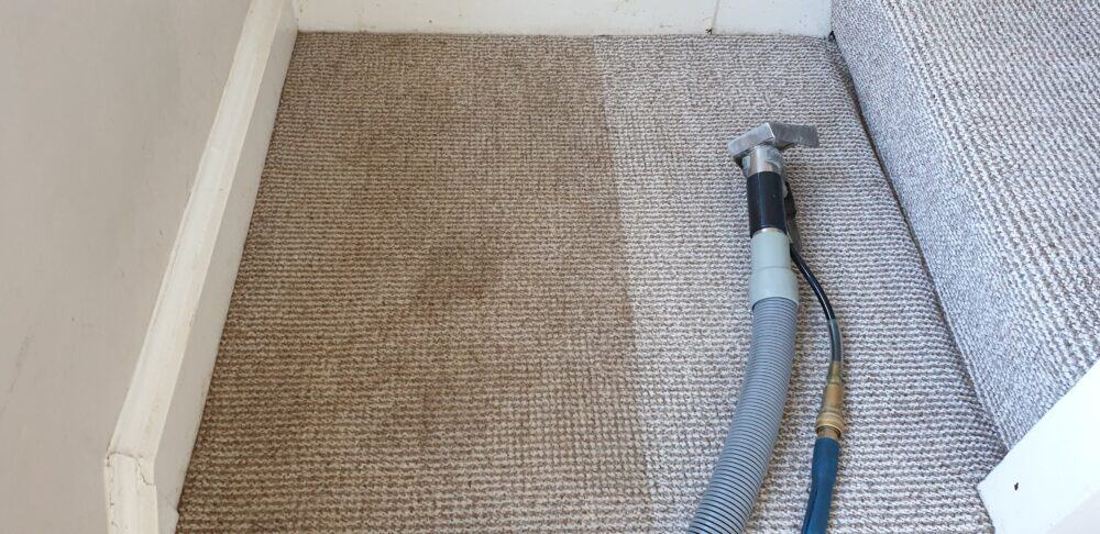 Professional Carpet Cleaning