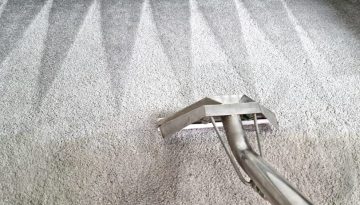 Professional Carpet Cleaning