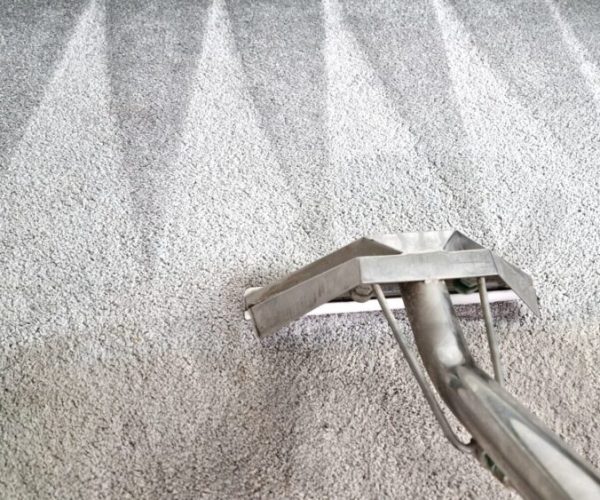 Professional Carpet Cleaning