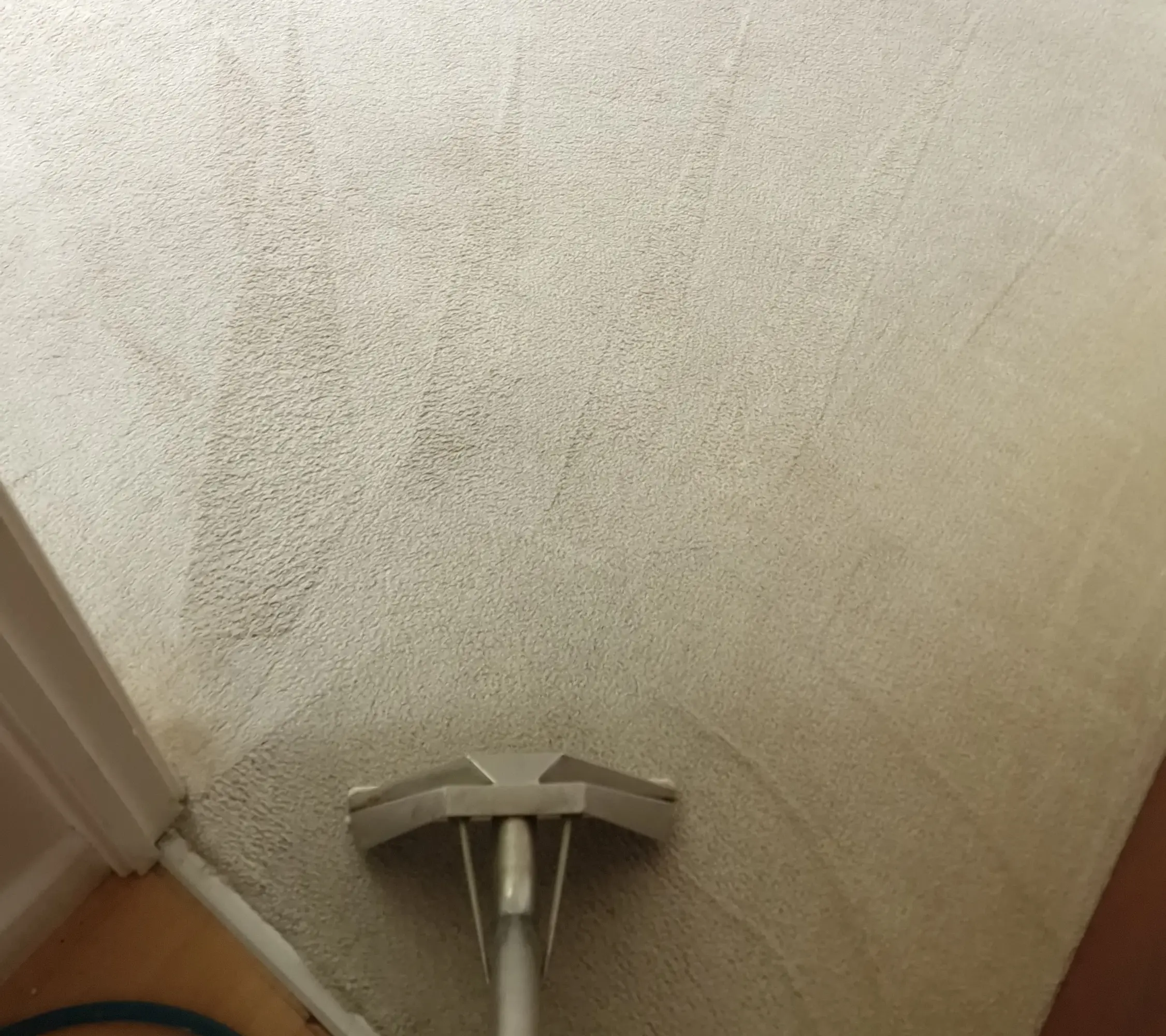 Carpet Cleaning Cambridge