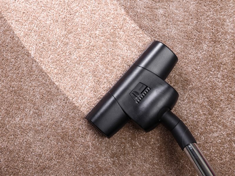 Eco-Friendly Carpet Cleaning in Cambridge