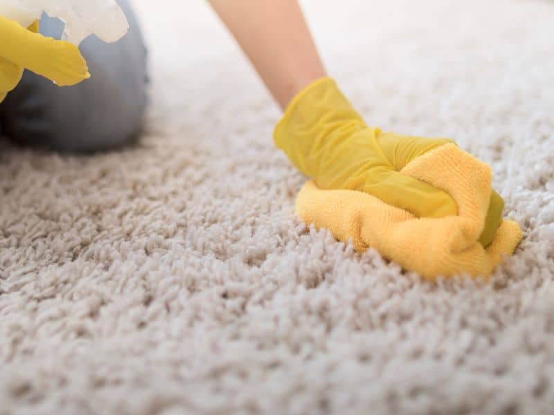 Emergency Carpet Cleaning in Cambridge