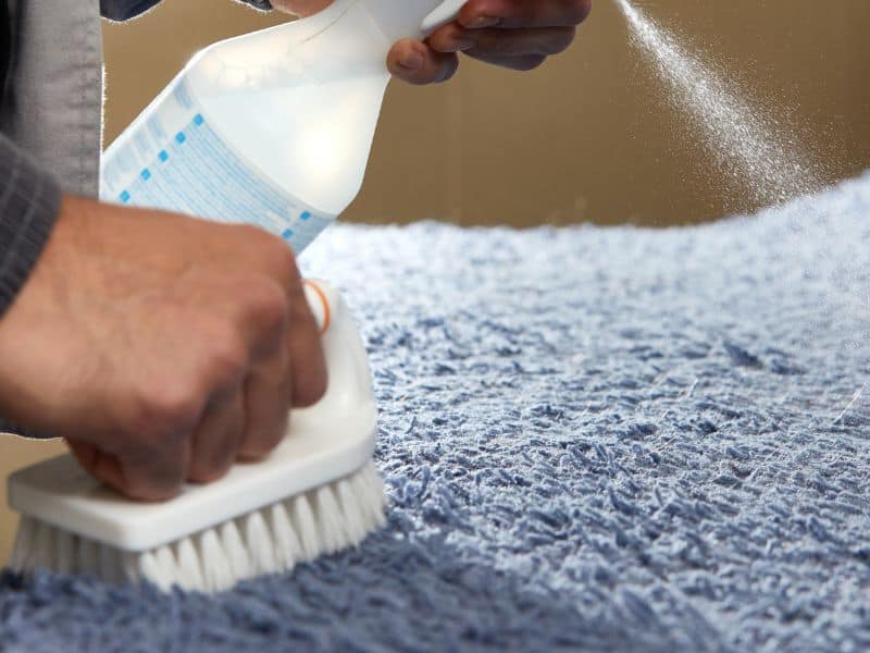 Regular Carpet Maintenance in Cambridge