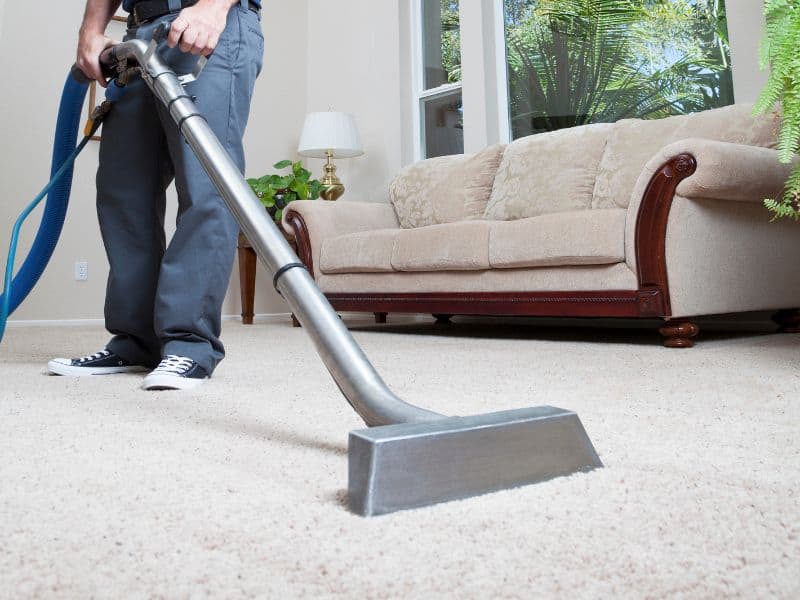 Regular Carpet Maintenance in Cambridge: Keep Your Carpets Pristine