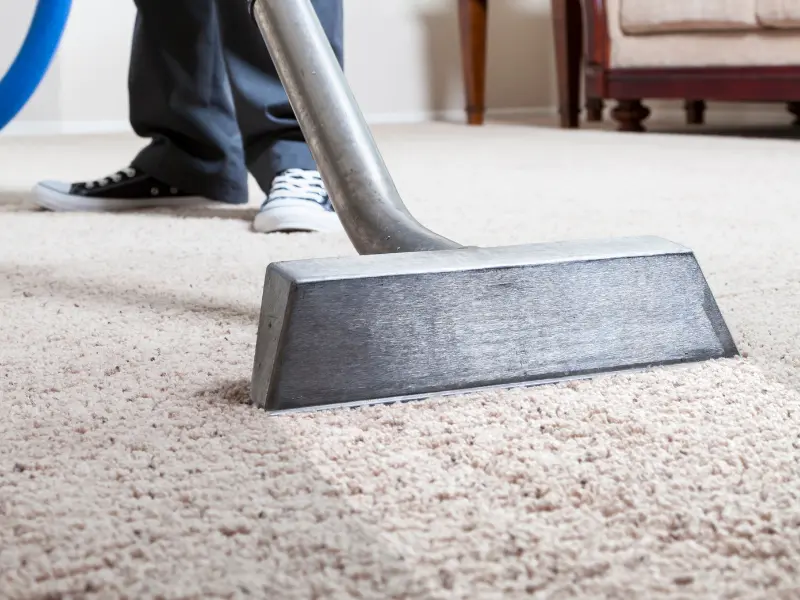 Professional Rug Cleaning Cambridge 