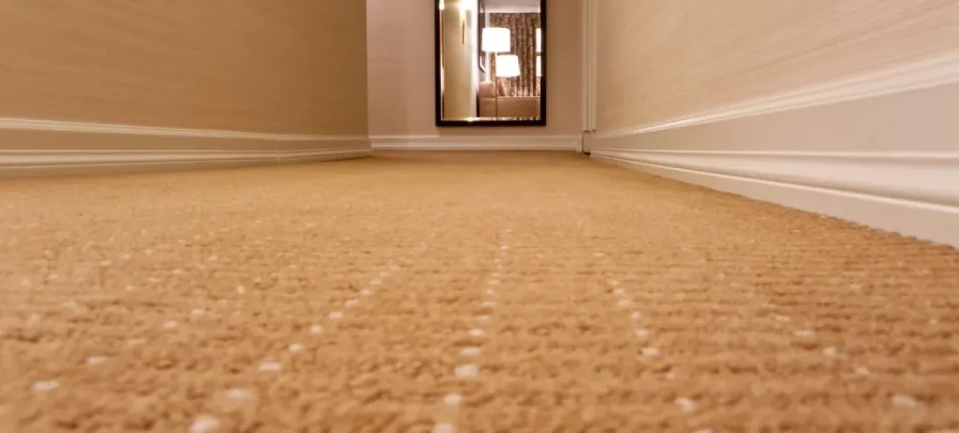 Local Carpet Cleaning Services in Cambridge