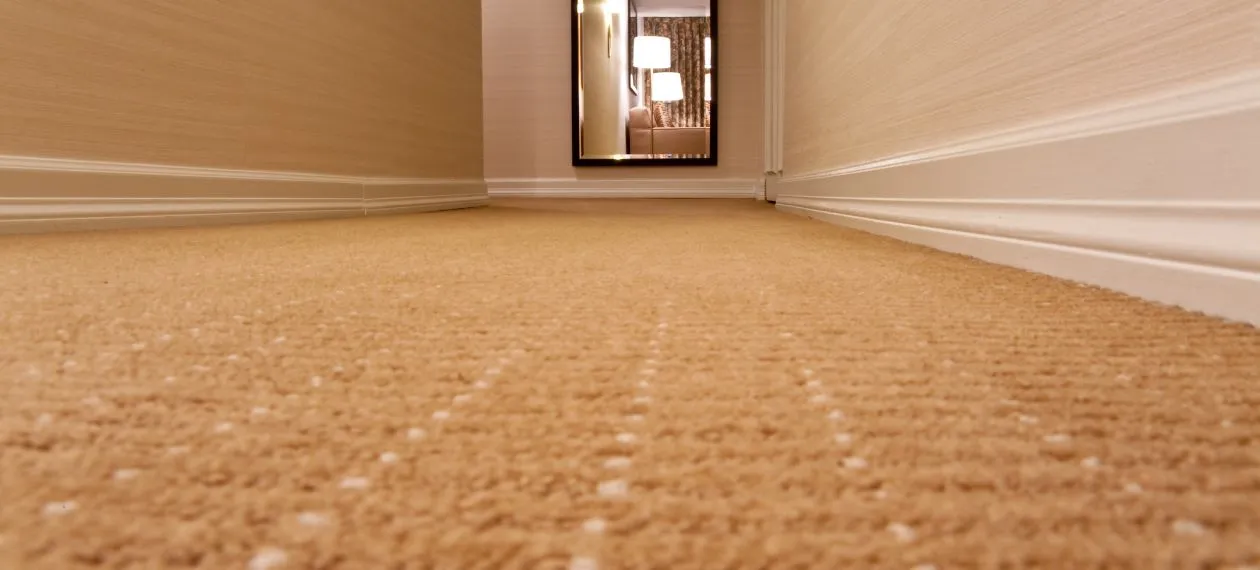 Local Carpet Cleaning Services in Cambridge