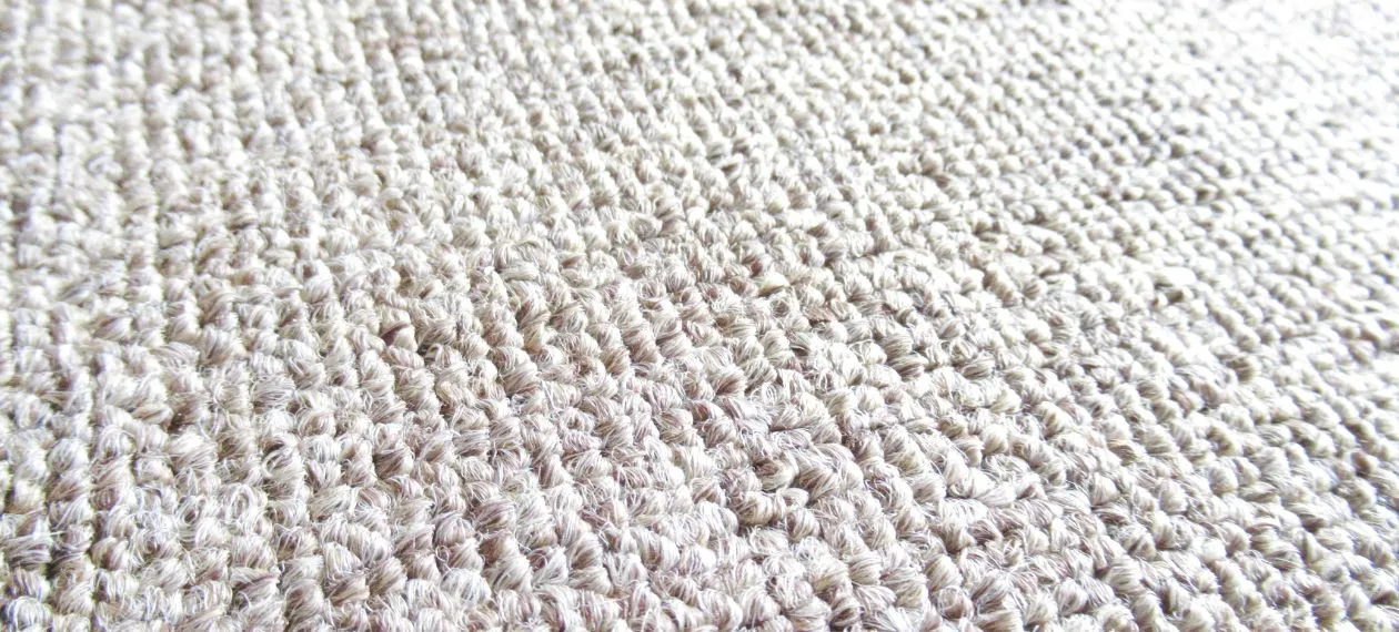 Affordable Carpet Cleaning in Cambridge