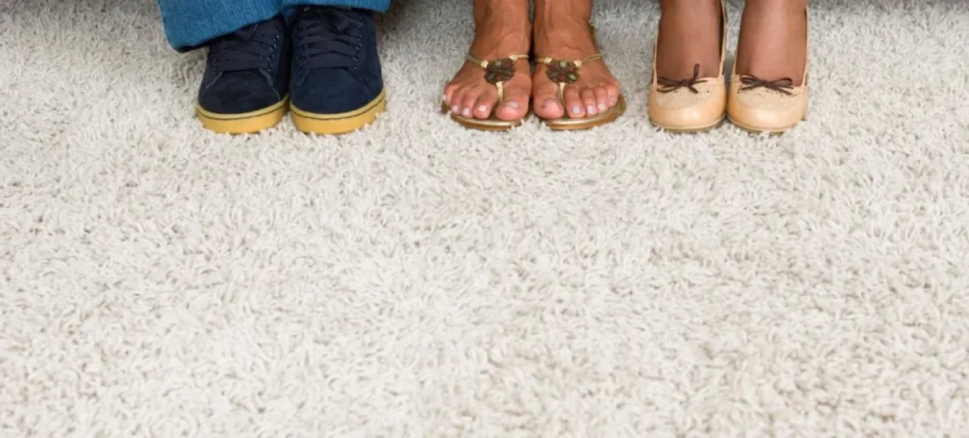 Affordable Carpet Cleaning in Cambridge