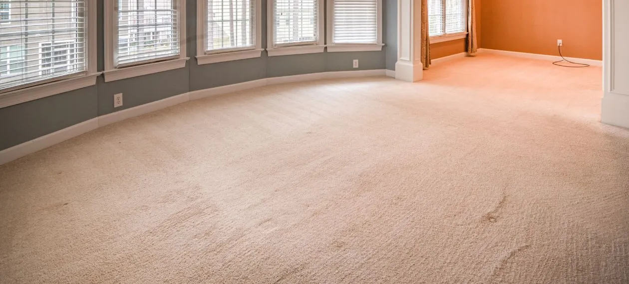 Best Carpet Cleaning Services Cambridge